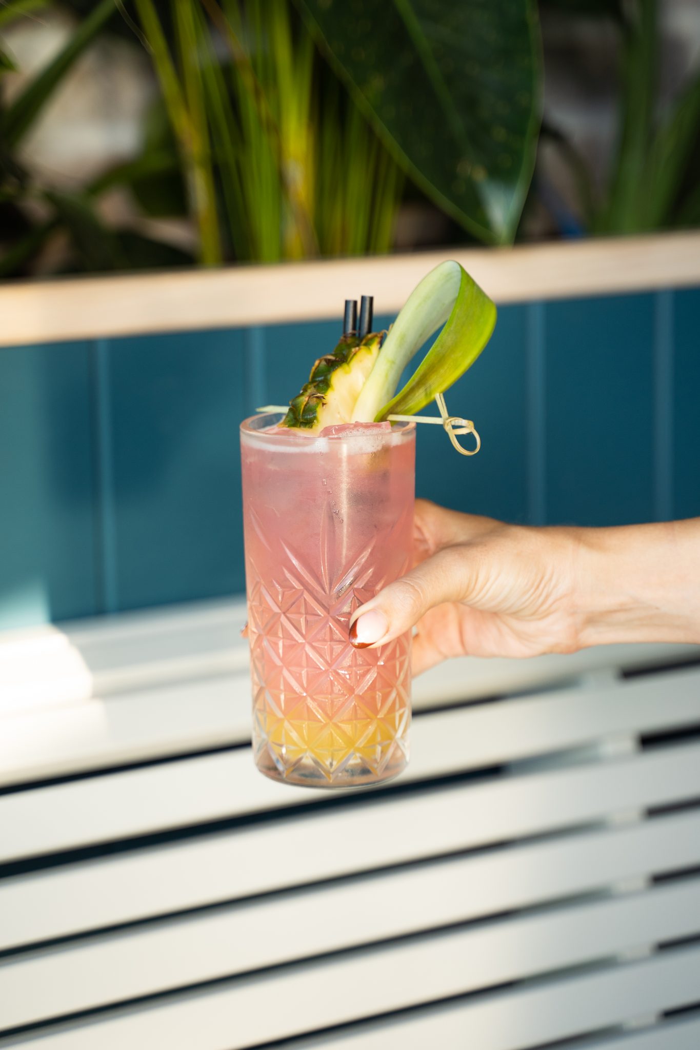 Indulge refreshing wines & cocktails Gold Coast Tavern